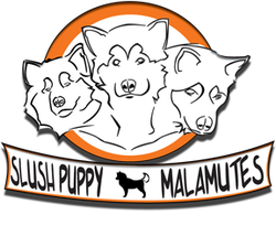 Registered Puppies - Slushpuppy Logo!